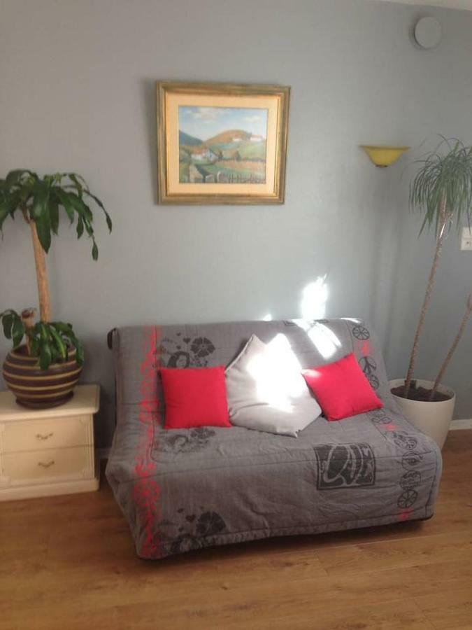 Petit Appartement Douillet Tres Bien Situe ビアリッツ エクステリア 写真